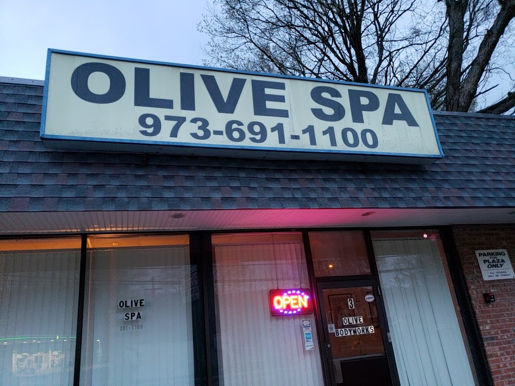 Olive Spa | 3 Netcong Rd, Budd Lake, NJ 07828 | Phone: (973) 691-1100