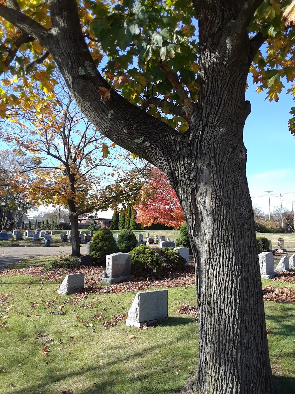 Kings Highway Cemetery | 271 Cherry St, Milford, CT 06460 | Phone: (203) 874-8998