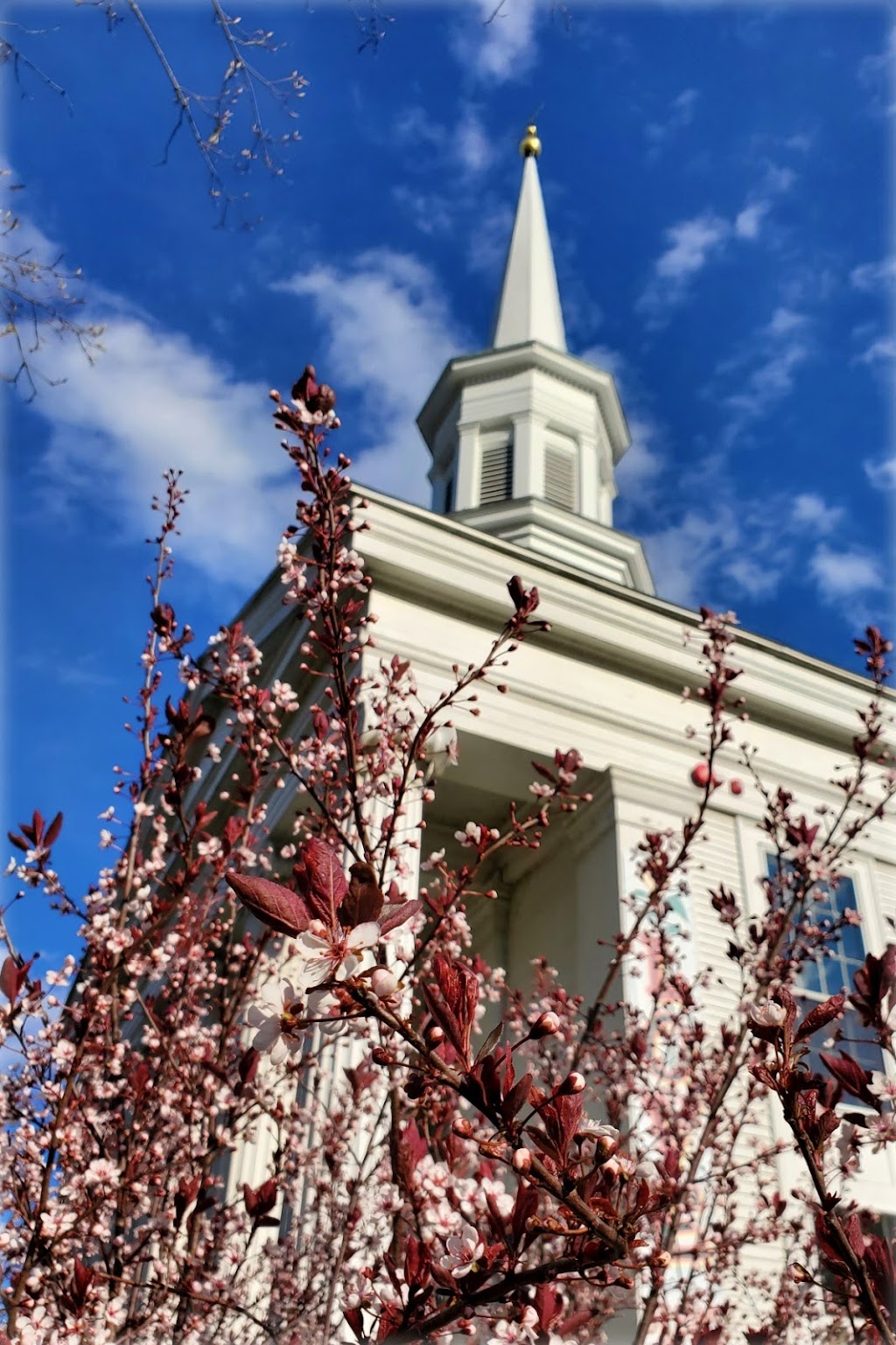First Congregational Church of Coventry | 1171 Main St, Coventry, CT 06238 | Phone: (860) 742-8487