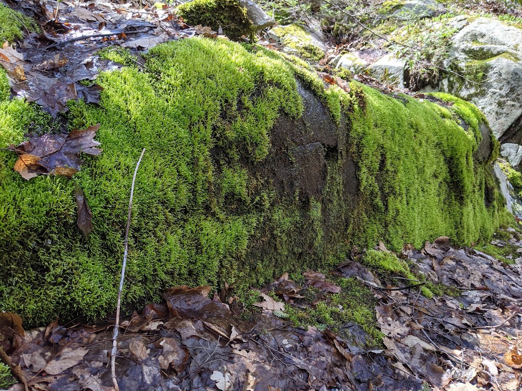 Black Rock - Mineral Springs Hiking trail | 2-16 Old Mineral Springs Rd, Highland Mills, NY 10930 | Phone: (845) 534-4517