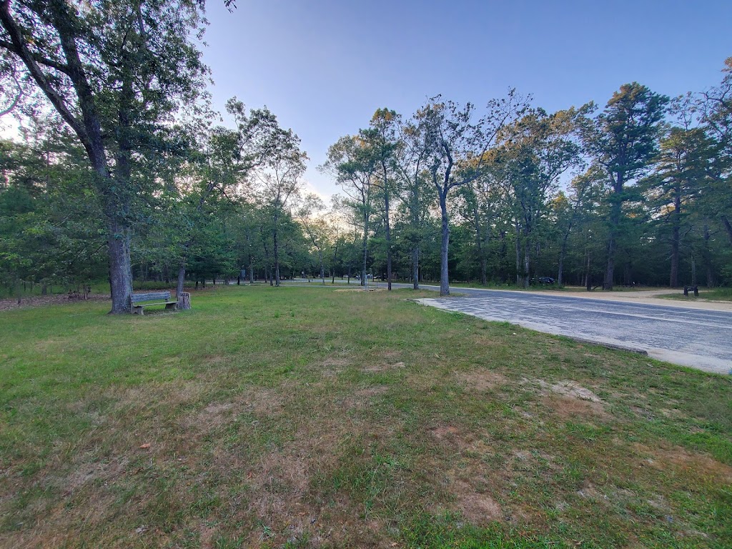Brendan T Byrne State Forest Campground | Coopers Rd, Vincentown, NJ 08088 | Phone: (609) 726-1191