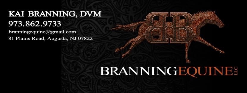 Branning Equine | 81 Plains Rd, Augusta, NJ 07822 | Phone: (973) 862-9733