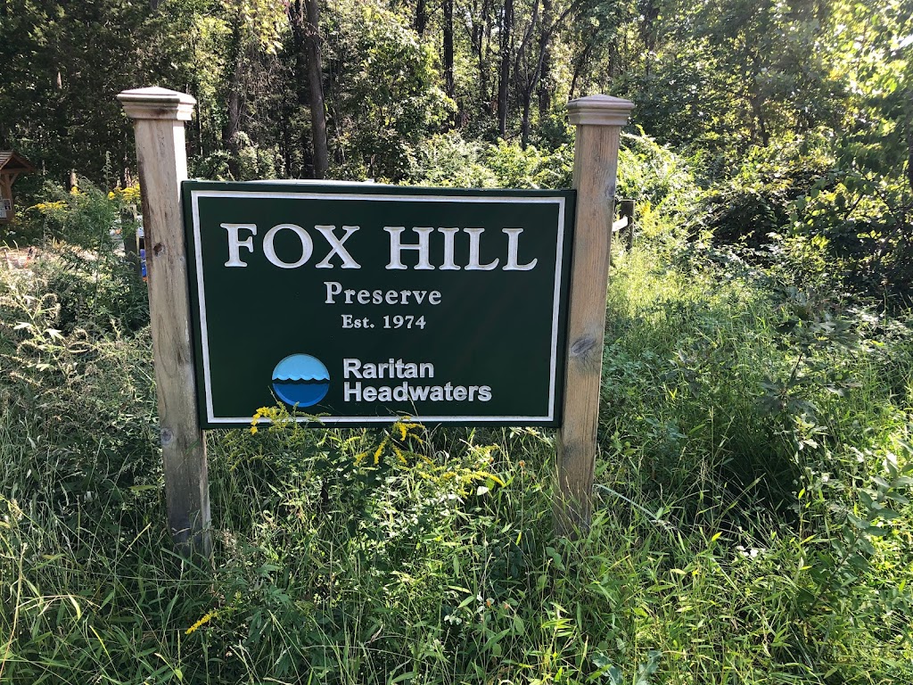 Fox Hill Nature Preserve | 51 Fox Hill Rd, Califon, NJ 07830 | Phone: (908) 234-1852