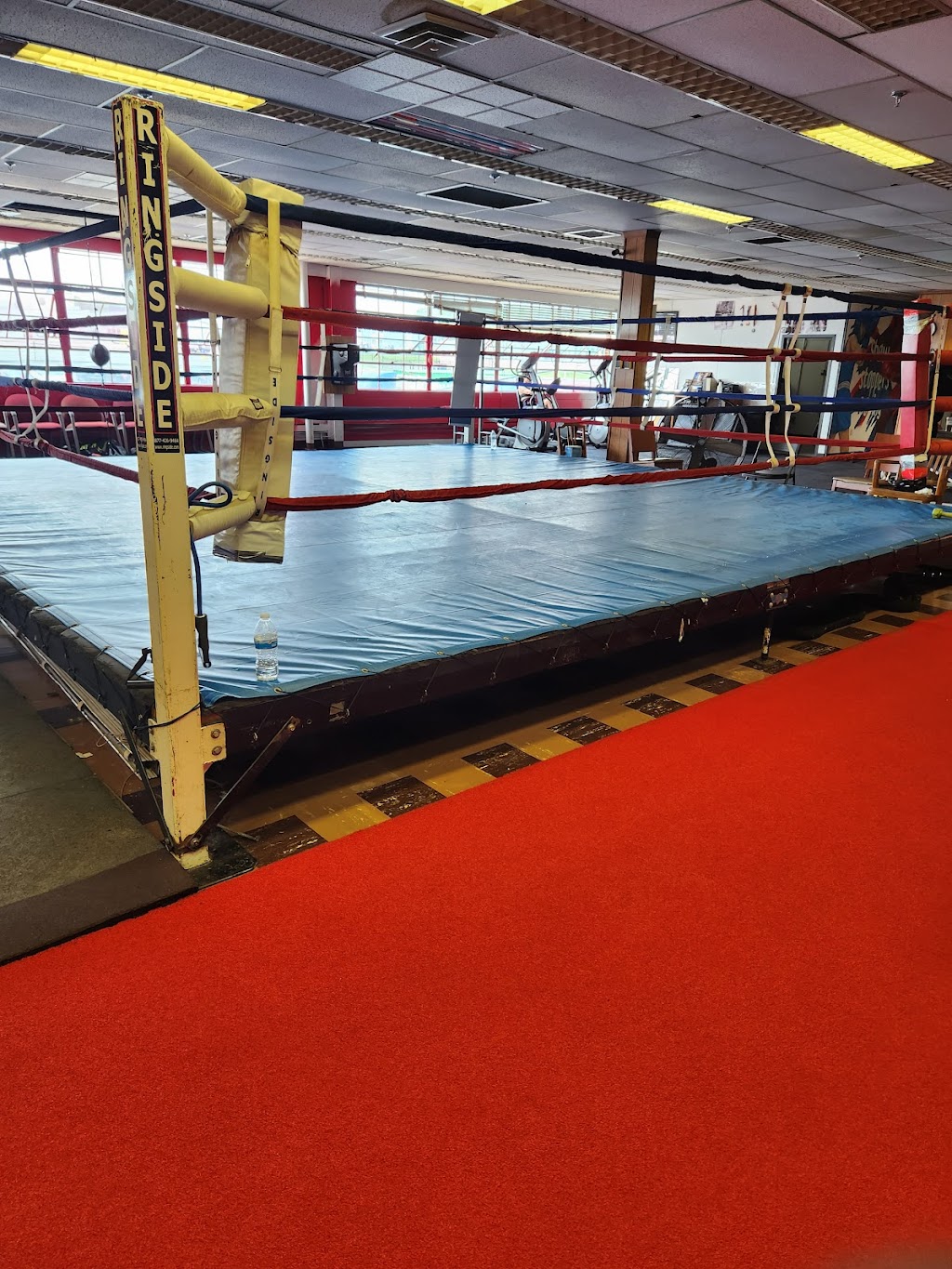 Show Stoppers Boxing Gym | 1801 S 12th St, Allentown, PA 18103 | Phone: (484) 478-4541