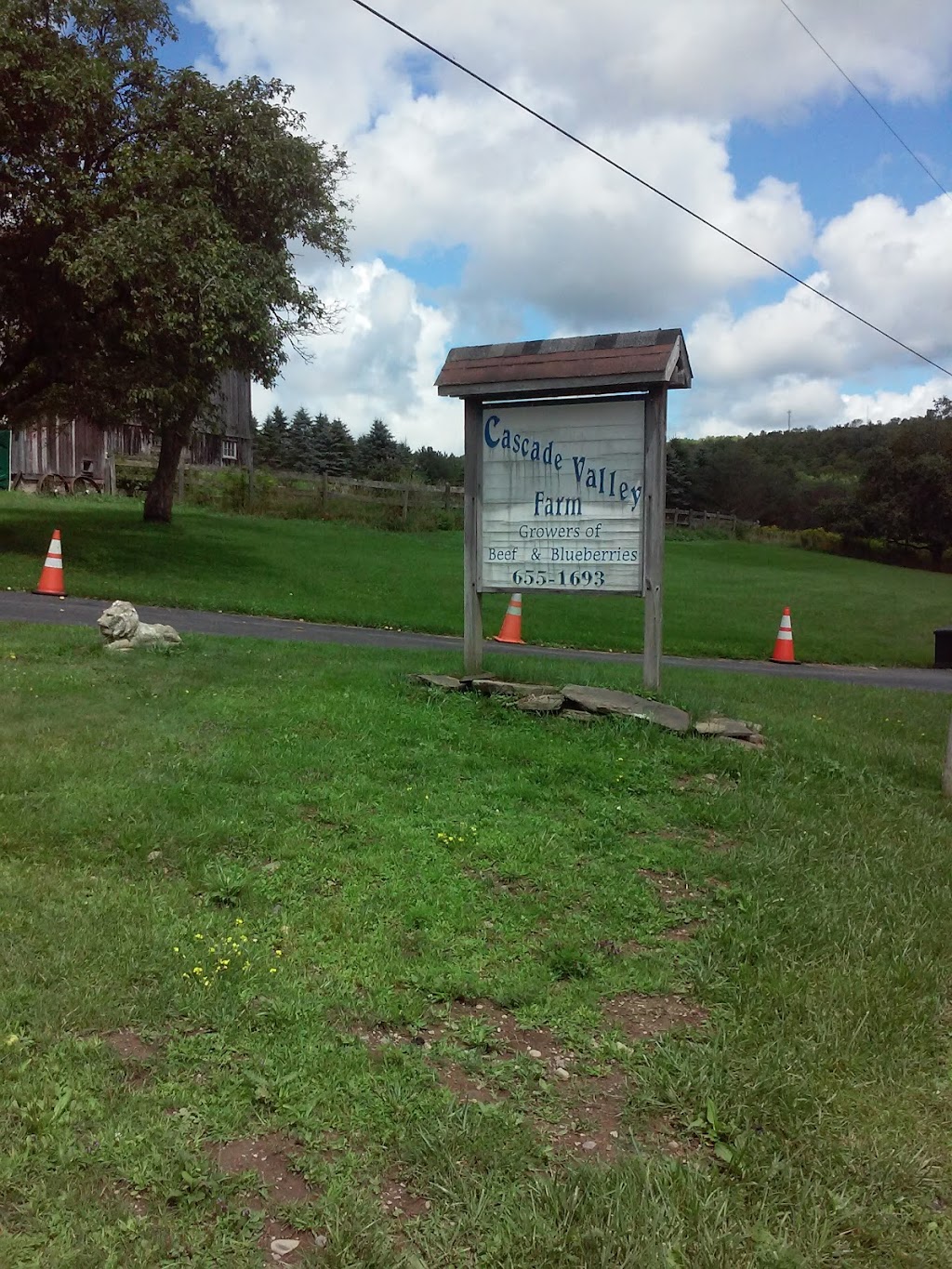 Cascade Valley U Pick Blueberries | 49 E Boskett Rd, Windsor, NY 13865 | Phone: (607) 655-1693