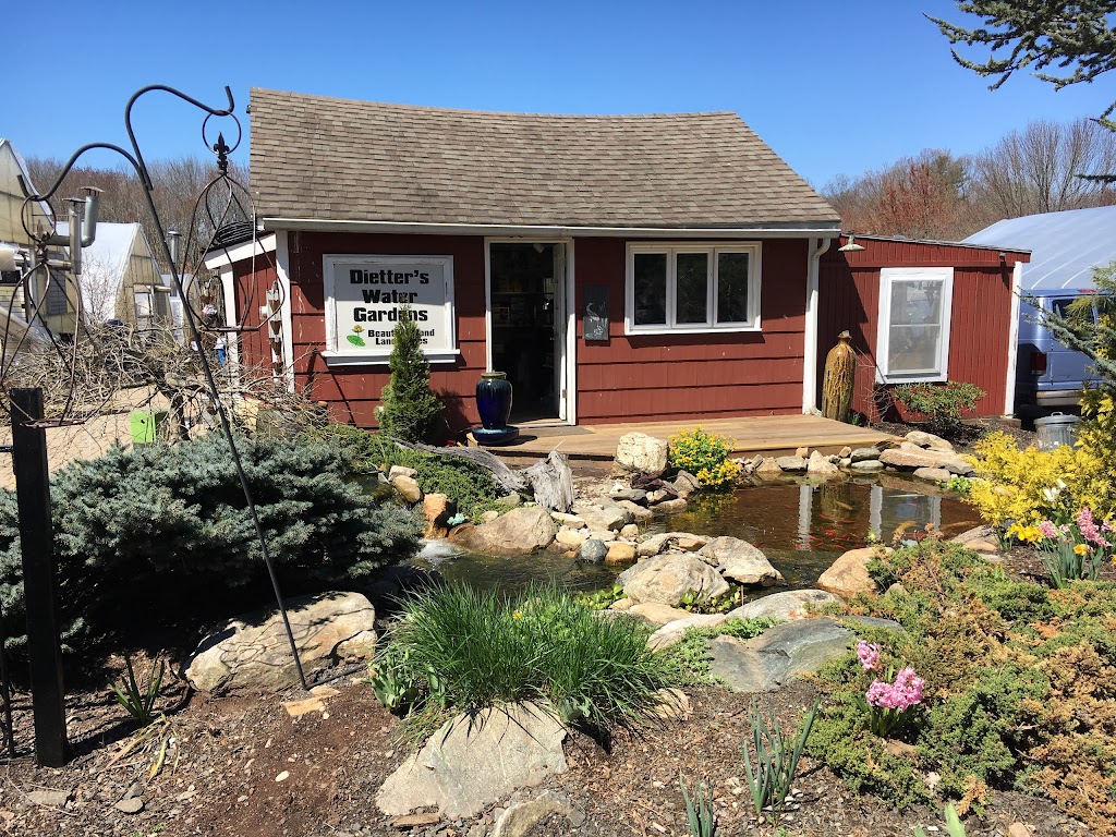 Dietters Water Gardens | 151 Mill Rd, North Haven, CT 06473 | Phone: (203) 239-0128