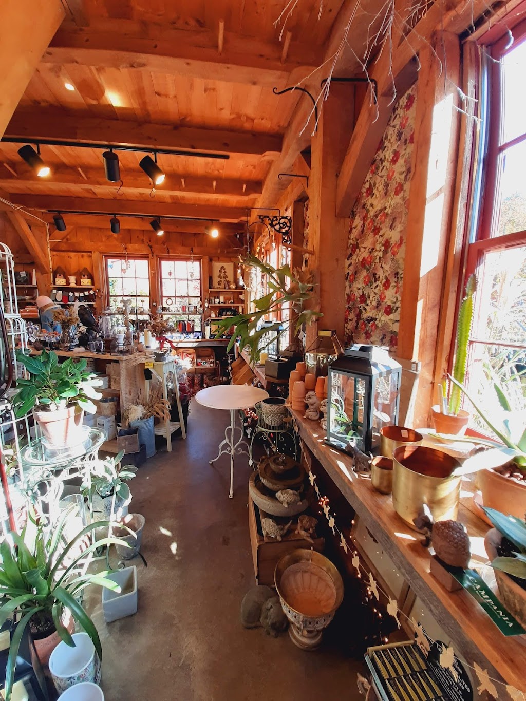 Windy Hill Farm | 686 Stockbridge Rd, Great Barrington, MA 01230 | Phone: (413) 298-3217