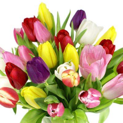 Sams Club Floral | 300 N Galleria Dr, Middletown, NY 10941 | Phone: (845) 692-5100