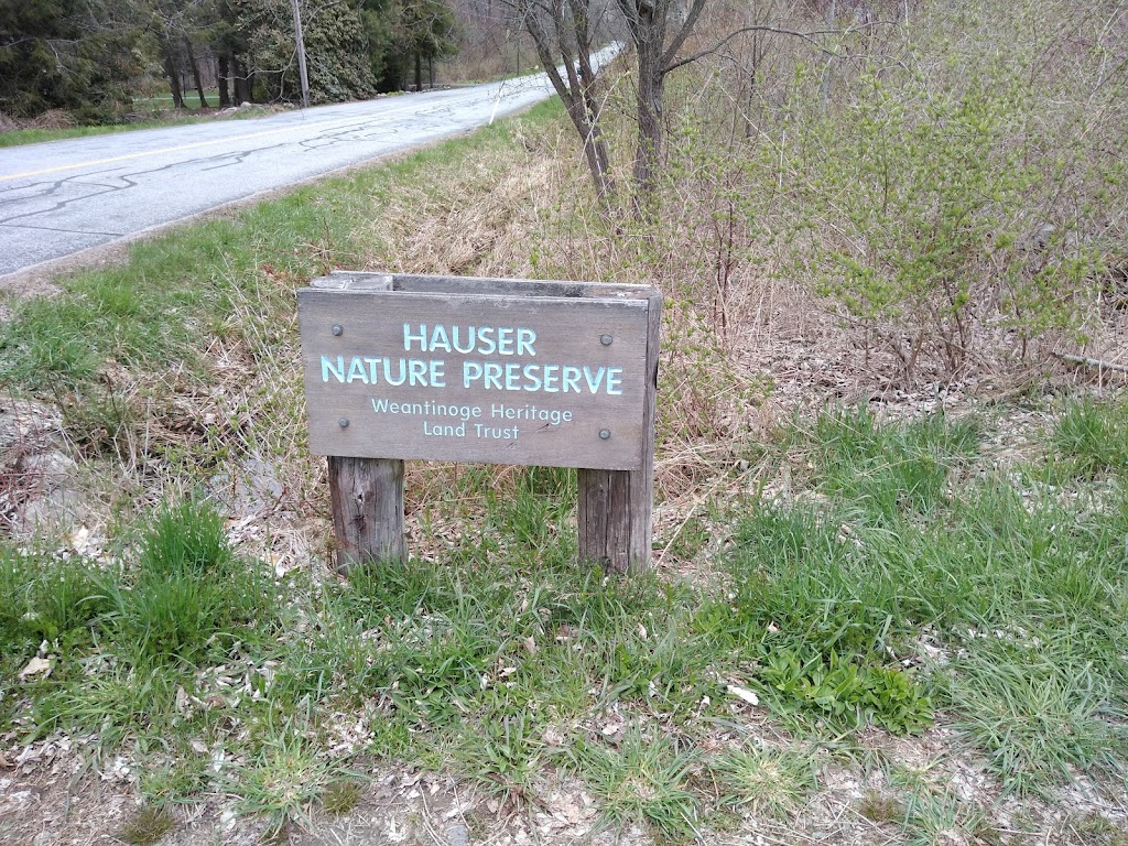 Hauser Nature Preserve | 100 Fern Ave, Litchfield, CT 06759 | Phone: (860) 927-1927