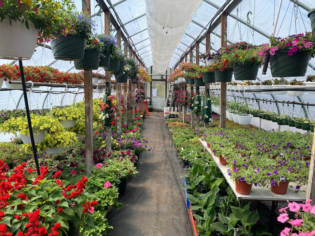 Thomas Greenhouse | 1586 Mt Bethel Hwy, Mt Bethel, PA 18343 | Phone: (484) 661-6553