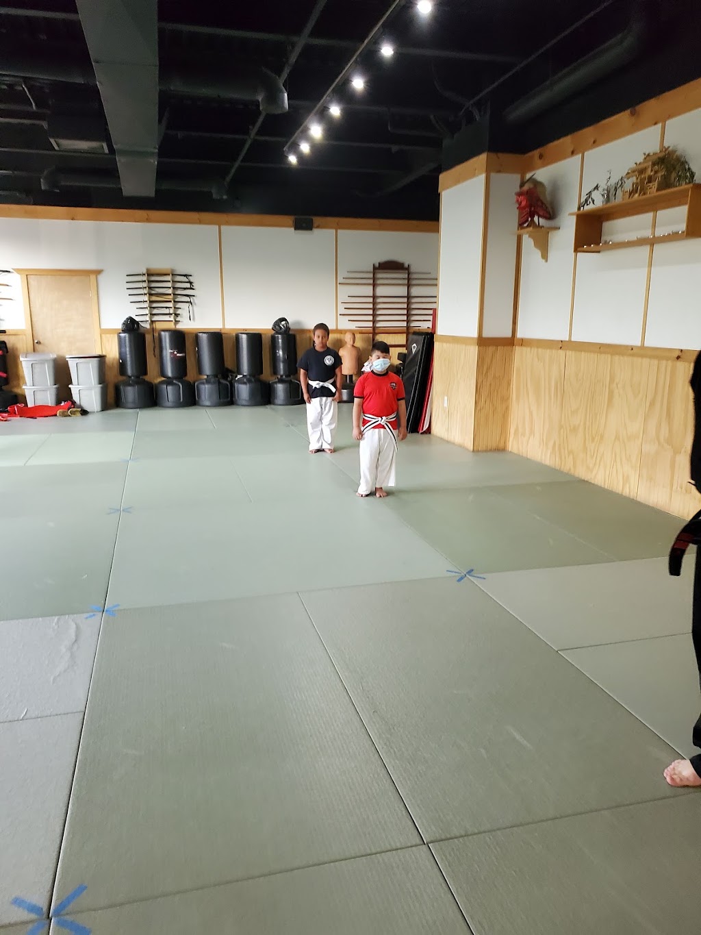 Bushido Karate Dojo | 876 Connetquot Ave #01, Islip Terrace, NY 11752 | Phone: (631) 277-3656