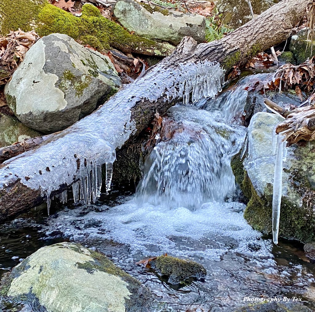 Blue Mountain Reservation Loop | Blue Mountain Reservation, Cortlandt, NY 10567 | Phone: (914) 231-4575