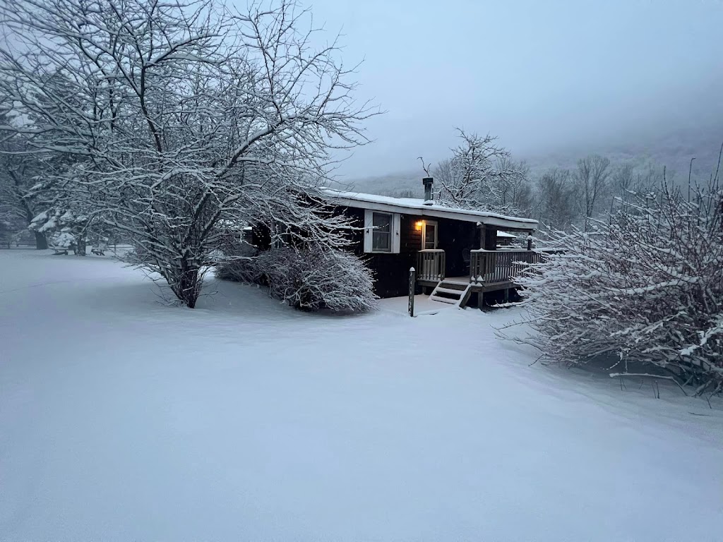 Cold Spring Lodge & Cabins | 530 Oliverea Rd, Big Indian, NY 12410 | Phone: (845) 254-5711