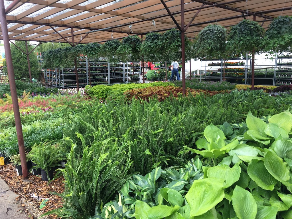 Gedney Farms Nursery | 870 Mamaroneck Ave, White Plains, NY 10605 | Phone: (914) 949-4100