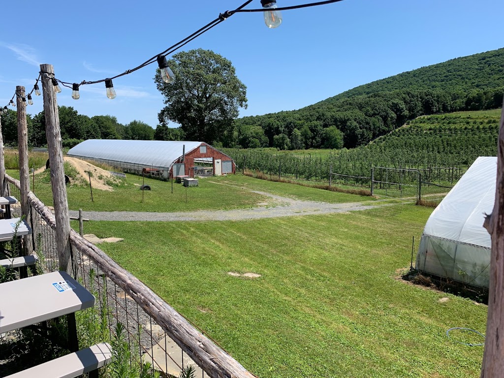Wilklow Orchards | 341 Pancake Hollow Rd, Highland, NY 12528 | Phone: (845) 691-2339
