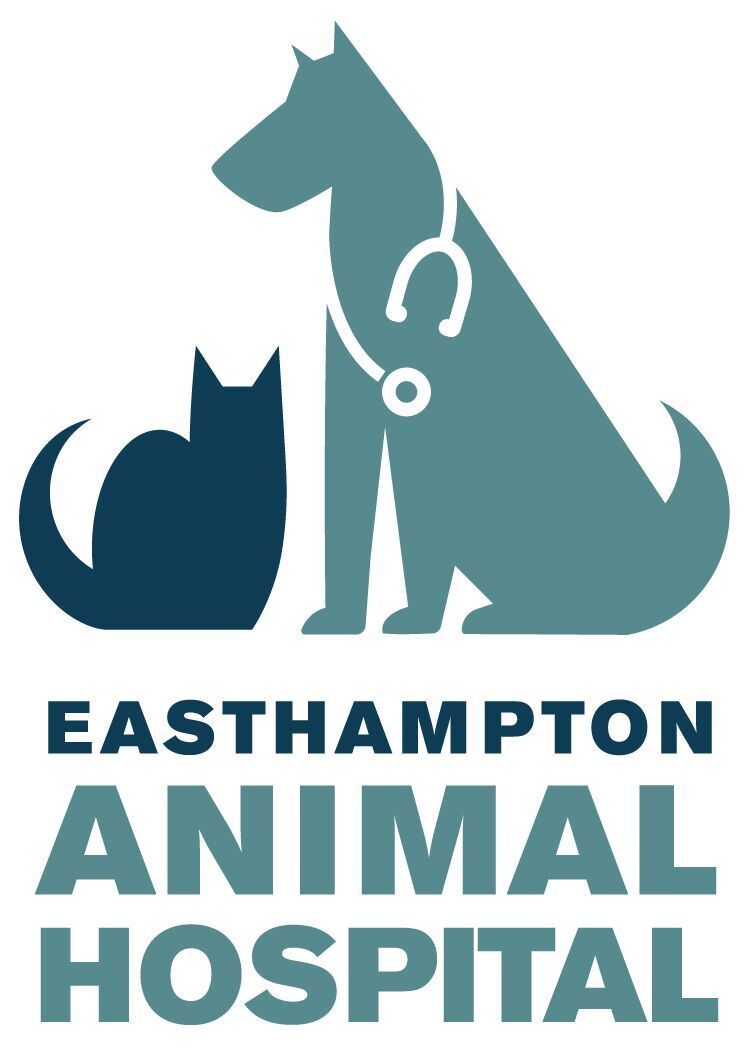 Easthampton Animal Hospital | 410 Main St, Easthampton, MA 01027 | Phone: (413) 527-0127