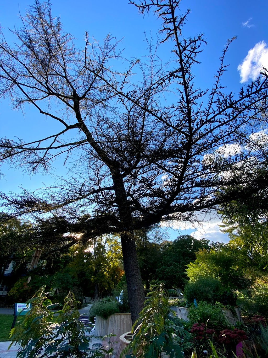 The Sensory Garden | The Homestead Building @ The Bartlett Arboretum, 107, 141 Brookdale Rd, Stamford, CT 06903 | Phone: (203) 322-6971