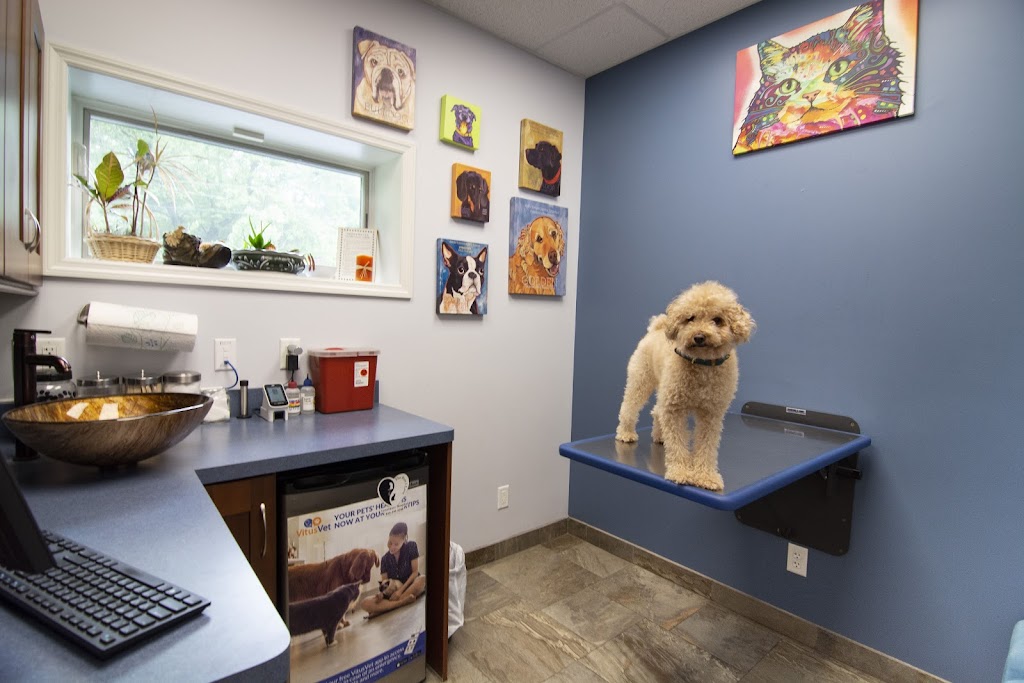 The Pets I Love Veterinary Hospital | 200 Spring St, Monroe, NY 10950 | Phone: (845) 395-9200