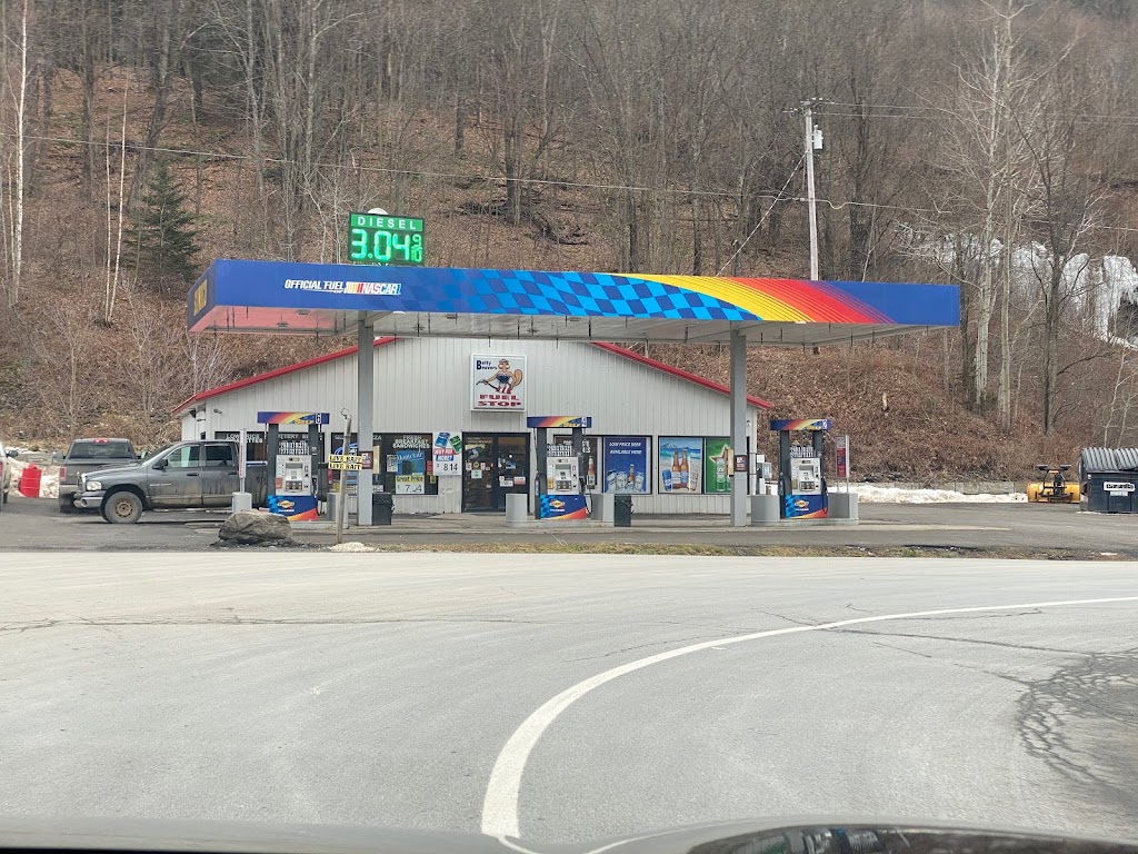 Betty Beavers Fuel Stop Otego | 224 Co Rd 48, Otego, NY 13825 | Phone: (607) 988-6560