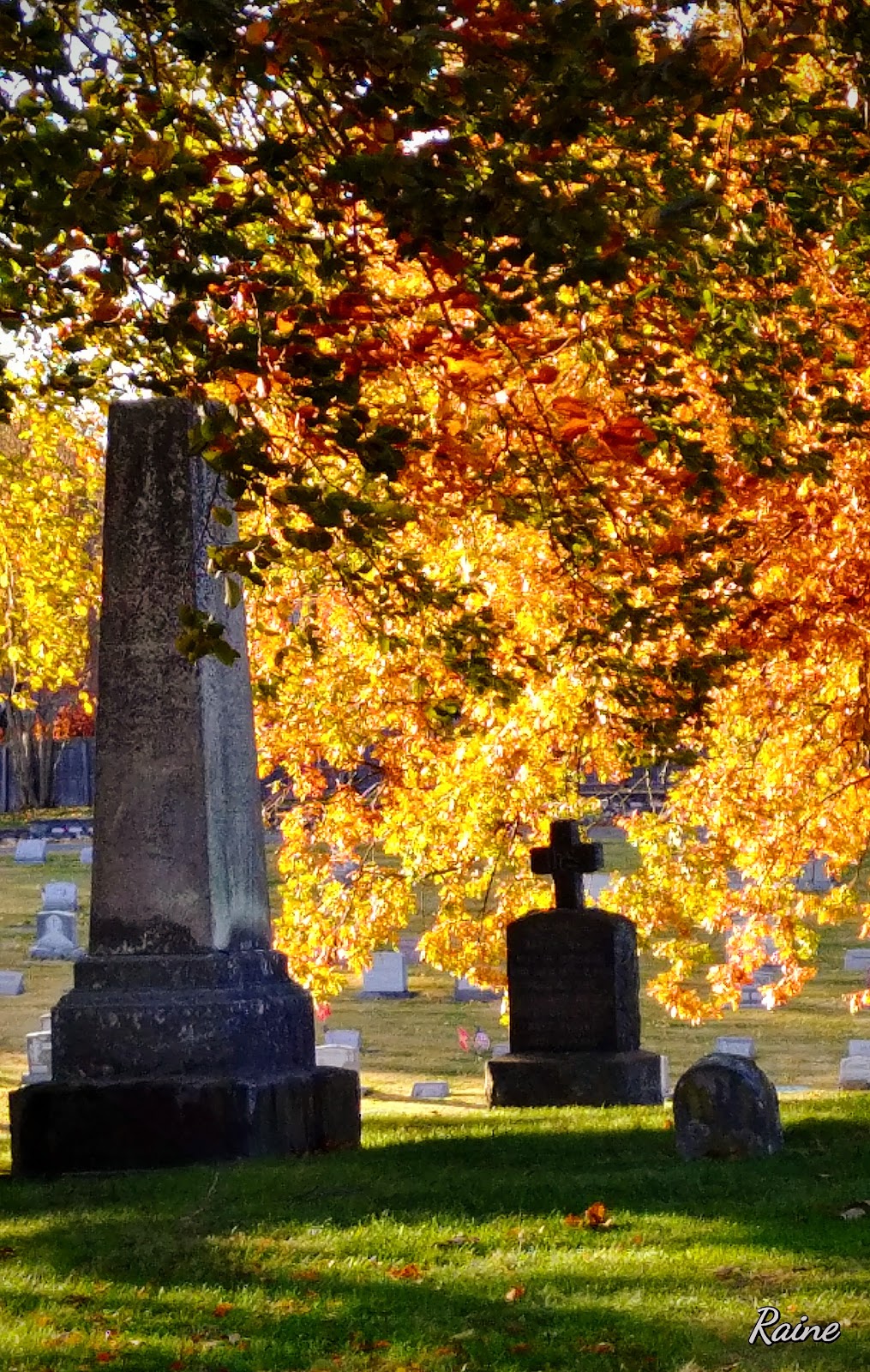 St Vincent Martyr Cemetery | Shunpike Rd, Madison, NJ 07940 | Phone: (973) 377-4000