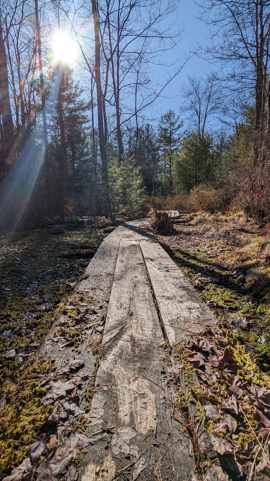 Wildlands Conservancys Maple Tract Preserve | 271 Stoney Hollow Rd, Pocono Lake, PA 18347 | Phone: (610) 965-4397