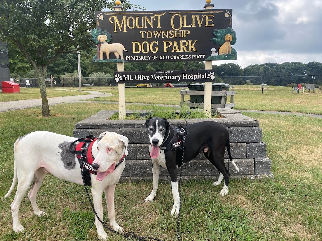 Dog Park at Turkey Brook | Flanders Rd, Flanders, NJ 07836 | Phone: (973) 691-0900