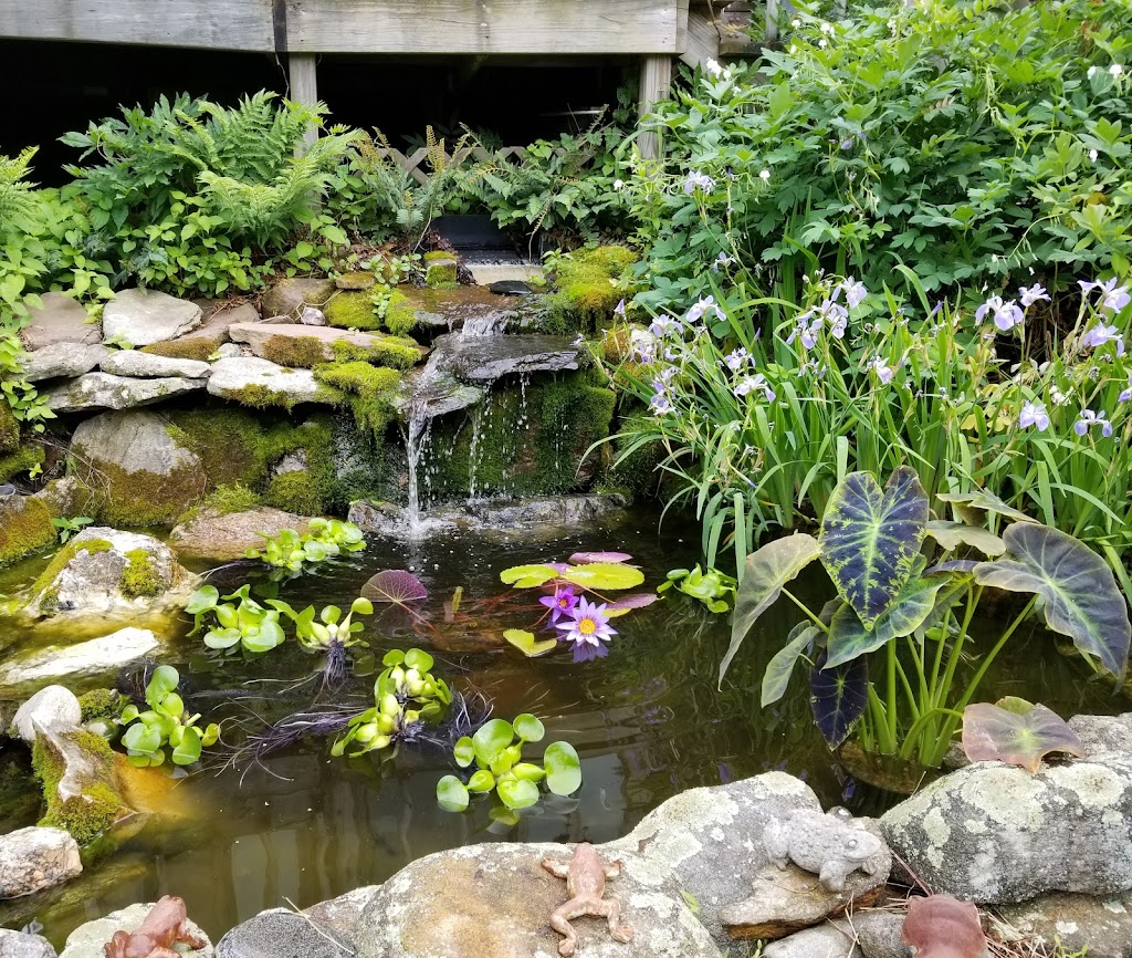 Dietters Water Gardens | 151 Mill Rd, North Haven, CT 06473 | Phone: (203) 239-0128