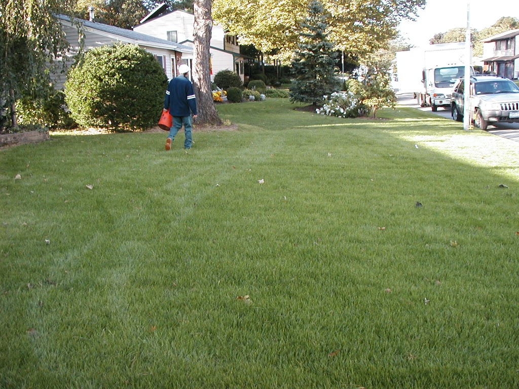 Emerald Magic Lawn Care | 194 Morris Ave Suite 4, Holtsville, NY 11742 | Phone: (631) 286-4600