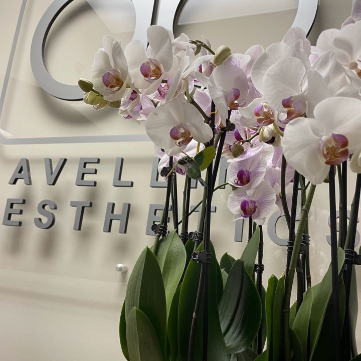 Avellina Aesthetics | 2375 Woodward St #112, Philadelphia, PA 19115 | Phone: (215) 722-6022