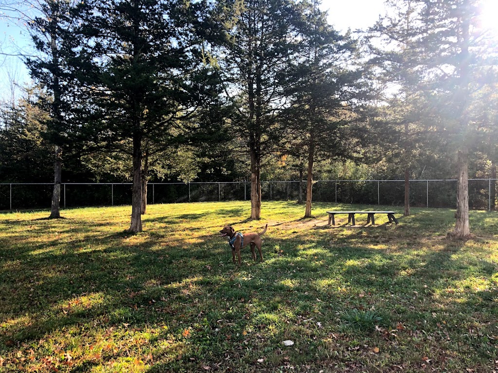 Ulster County Dog Park | 249 Libertyville Rd, New Paltz, NY 12561 | Phone: (845) 255-1380