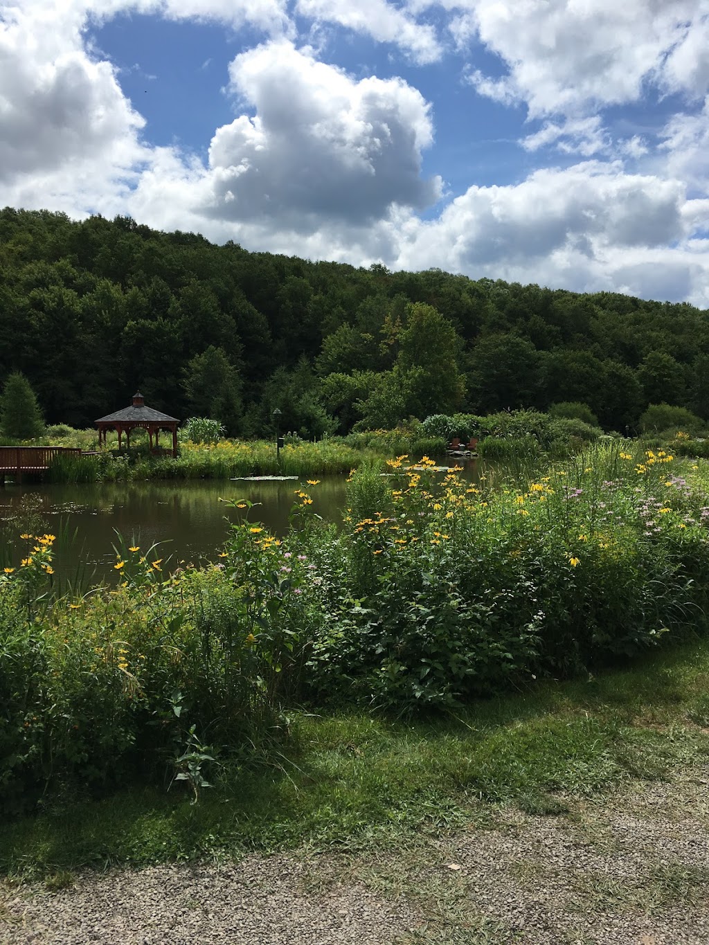 The Natural Gardens | 304 Sutherland Rd, East Meredith, NY 13757 | Phone: (607) 746-2028