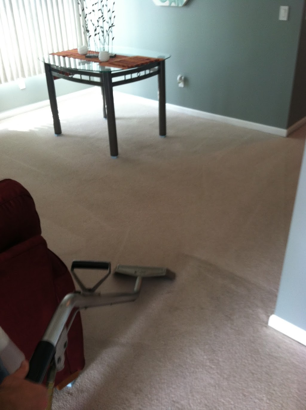 Absolute Carpet & Upholstery Cleaning LLC | 96 Pine Neck Ave, East Patchogue, NY 11772 | Phone: (631) 258-4769