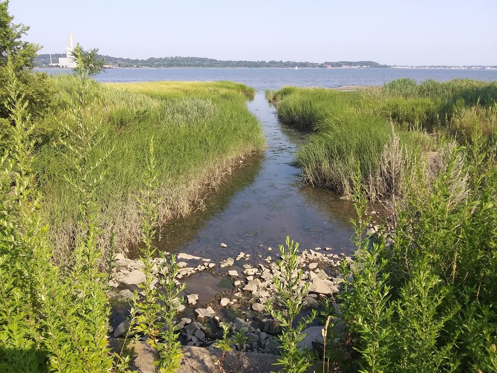 Long Wharf Nature Preserve | New Haven, CT 06511 | Phone: (203) 562-6655