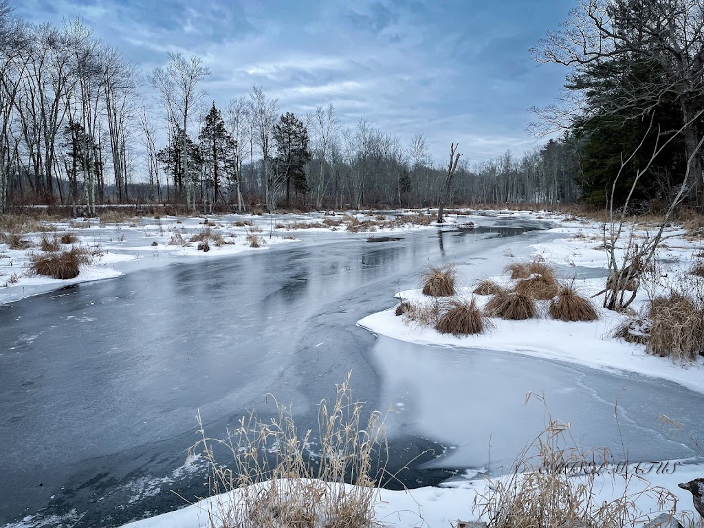 Buttercup Farm Audubon Sanctuary | 6862 NY-82, Stanfordville, NY 12581 | Phone: (518) 325-5203