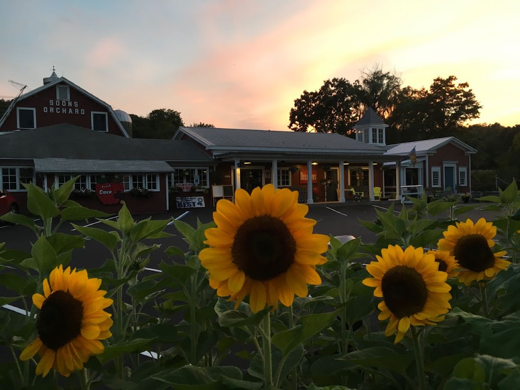 Apple Picking (Soons Orchards) | 634 County Route 50 Grass field parking area, New Hampton, NY 10958 | Phone: (845) 374-5471