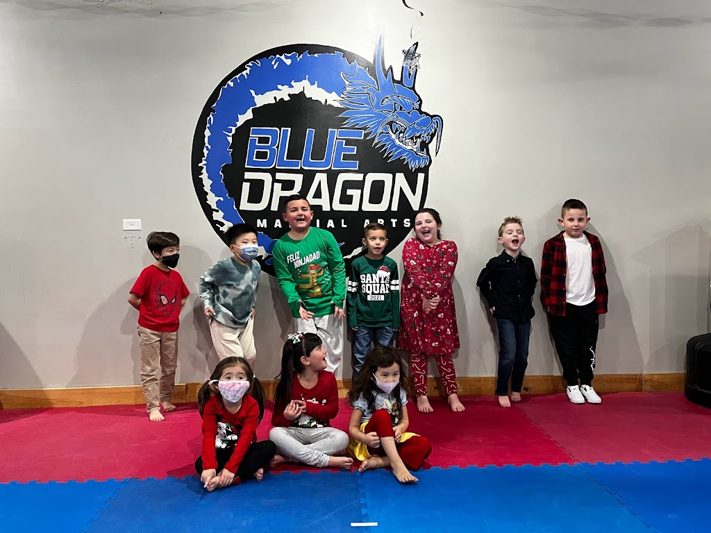 Blue Dragon Martial Arts | 100 US-9, Manalapan Township, NJ 07726 | Phone: (732) 851-5690