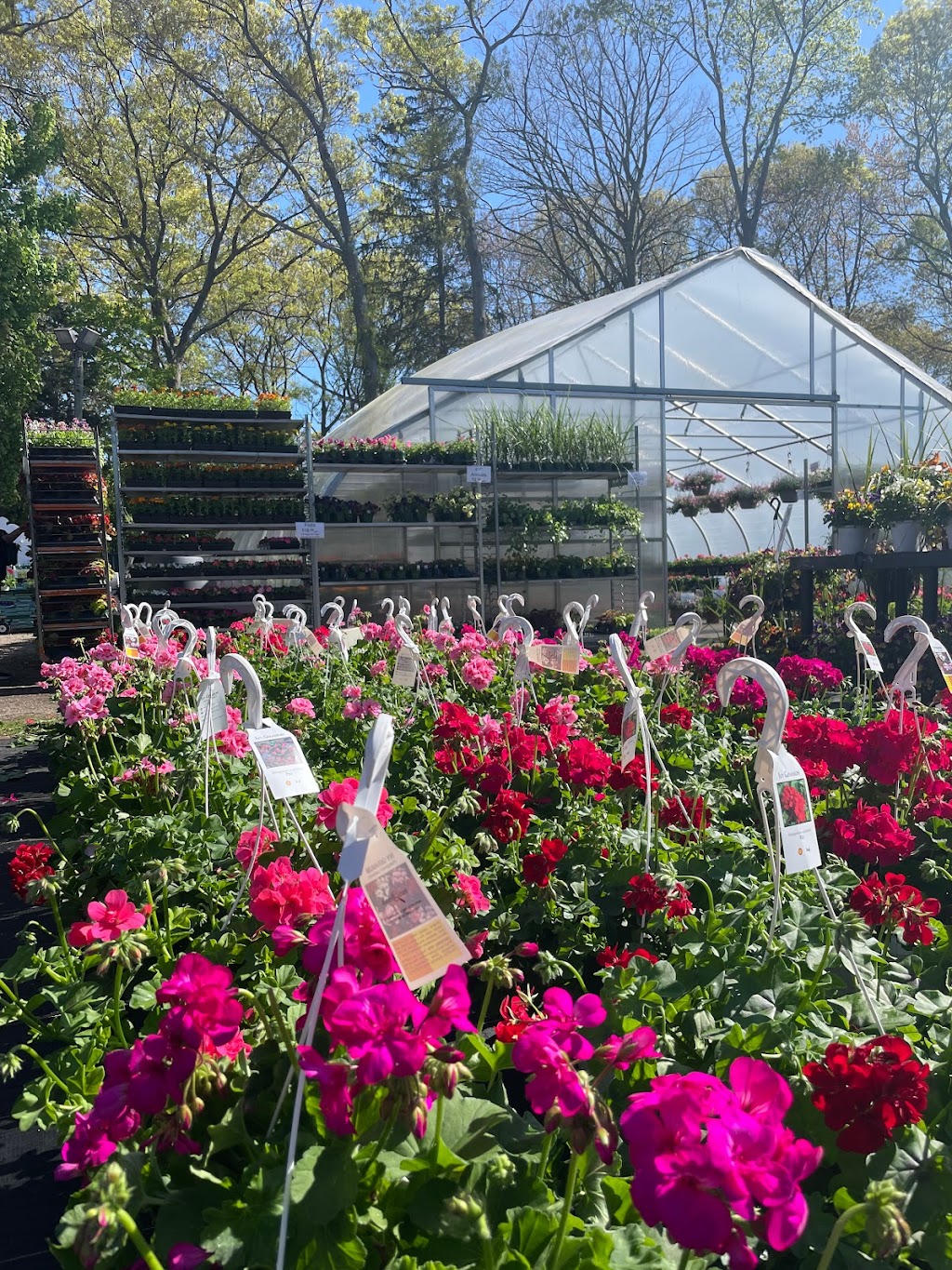 Powers Country Gardens | 886 NY-25A, Miller Place, NY 11764 | Phone: (516) 680-4428