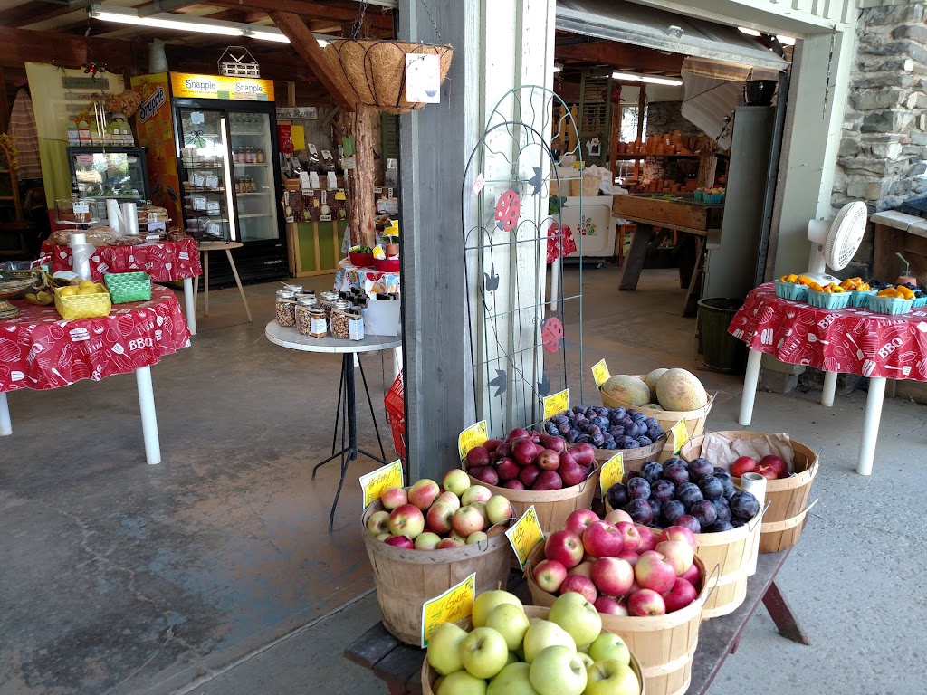 Wonderland Florist, Nursery and Farm Market | 201 E Market St, Rhinebeck, NY 12572 | Phone: (845) 876-4981