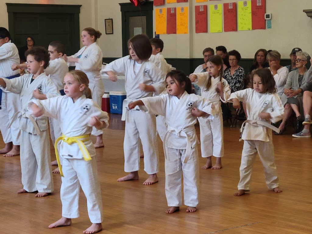 Taro Karate | 91 W Church St, Seymour, CT 06483 | Phone: (203) 278-0869