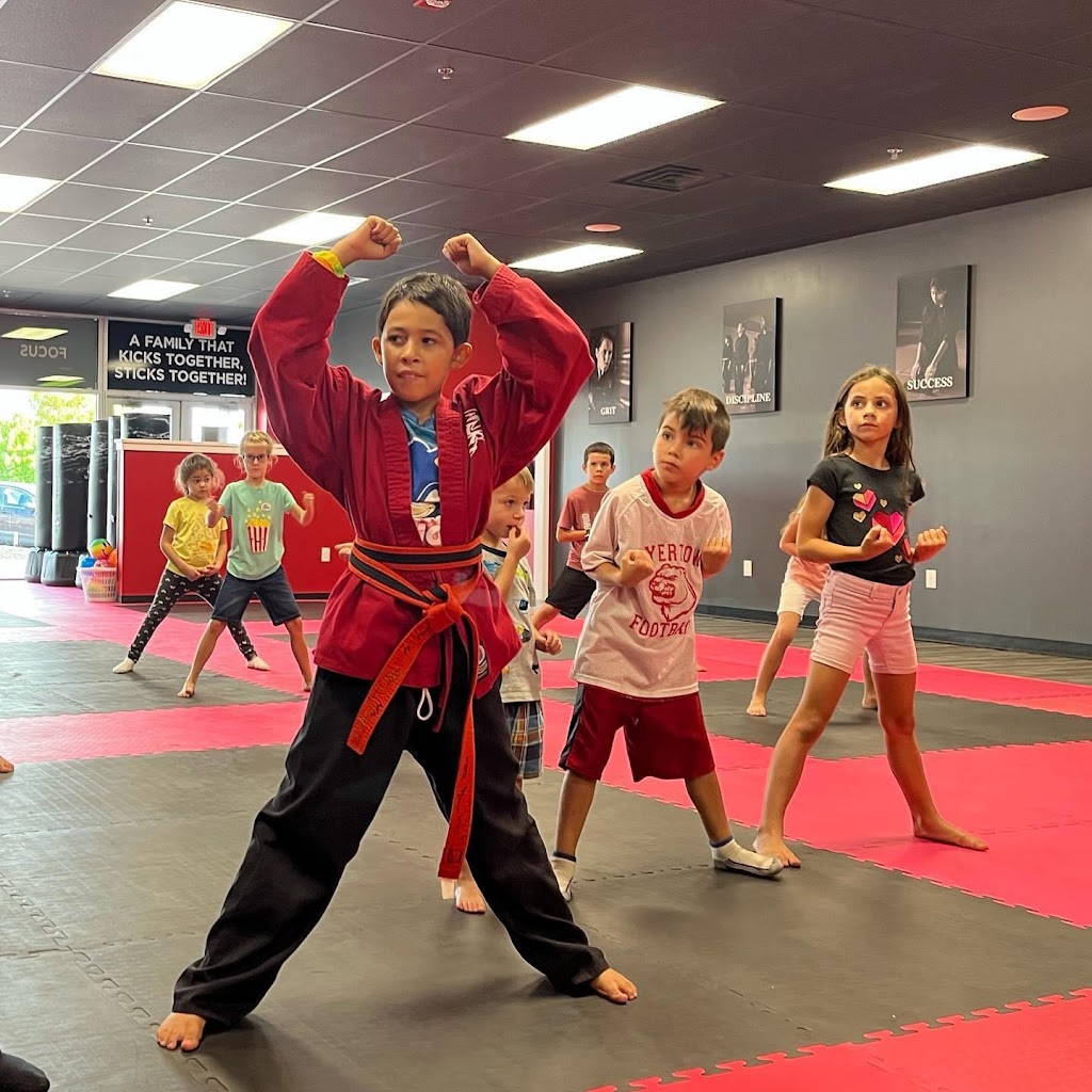 Action Karate Royersford-Collegeville | 70 Buckwalter Rd Suite 113, Royersford, PA 19468 | Phone: (484) 352-2425