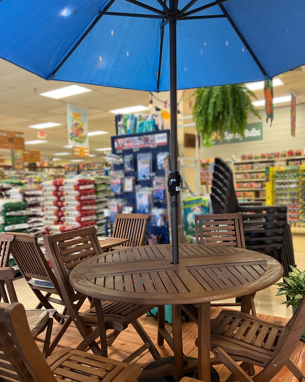 Garden Center at Adams | 160 Old Post Rd, Wappingers Falls, NY 12590 | Phone: (845) 632-9955