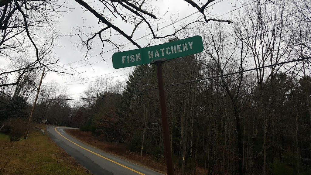 Land & Forest Department | Fish Hatchery Rd, Summitville, NY 12781 | Phone: (845) 888-2531