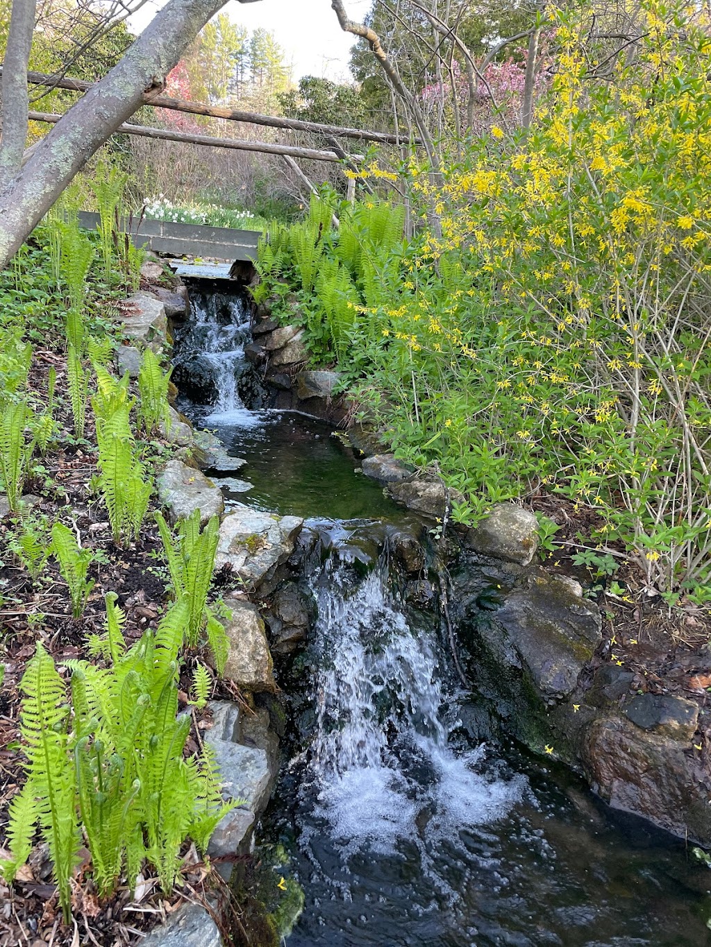 Bamboo Brook Outdoor Education Center | 170 Longview Rd, Chester Township, NJ 07931 | Phone: (973) 326-7600