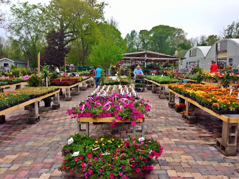 Red Hill Nursery | 241 S Little Tor Rd, New City, NY 10956 | Phone: (845) 634-2498