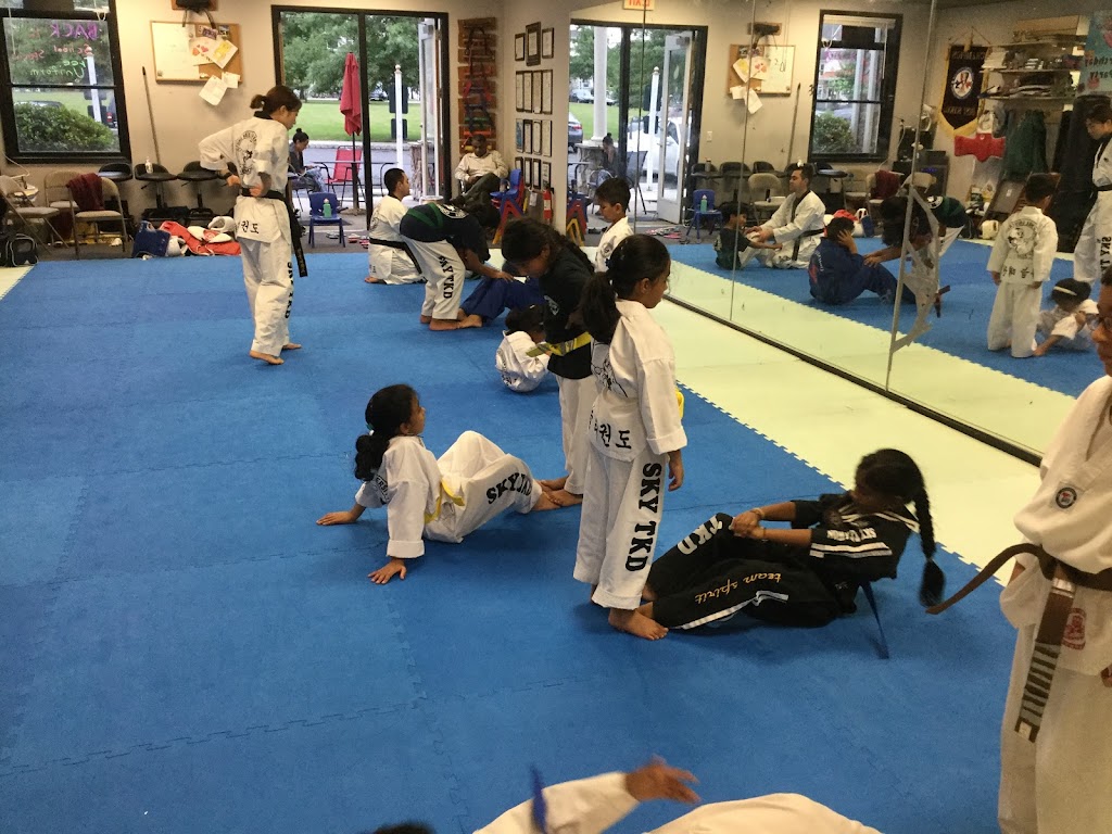 SKY Taekwondo | 403 King George Rd, Basking Ridge, NJ 07920 | Phone: (908) 917-1336