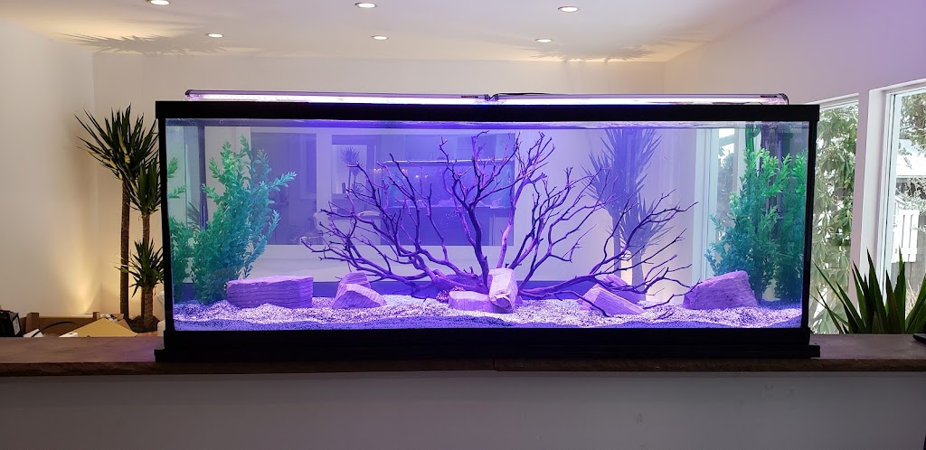 Aquariums Alive | 44 Schoolhouse Rd, Old Bethpage, NY 11804 | Phone: (516) 606-1382
