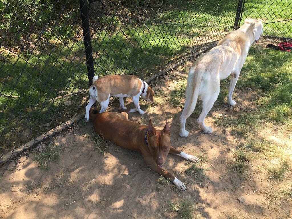 Longford Park/Reynolds Dog Park | 100 Longford Rd, Phoenixville, PA 19460 | Phone: (484) 391-2390