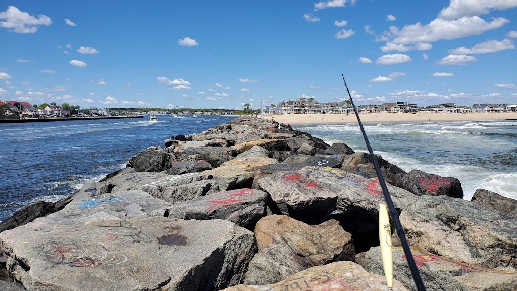 Fishermans Cove Conservation Area | 383 3rd Ave, Manasquan, NJ 08736 | Phone: (732) 922-4080