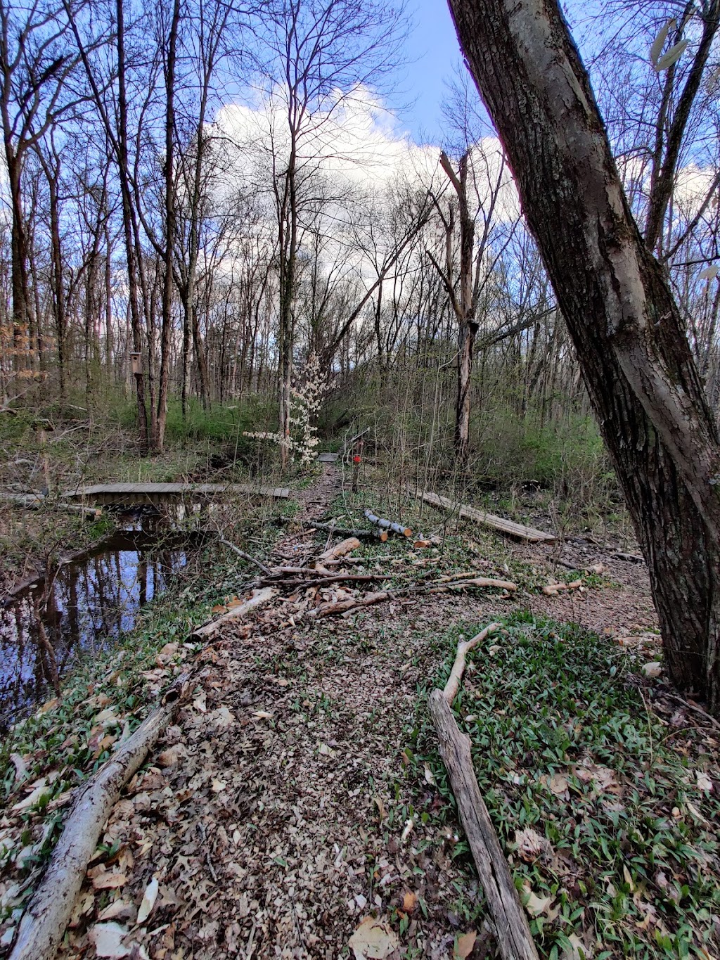 Great Swamp Watershed Association - Conservation Management Area | 1 Tiger Lily Ln, Morristown, NJ 07960 | Phone: (973) 538-3500