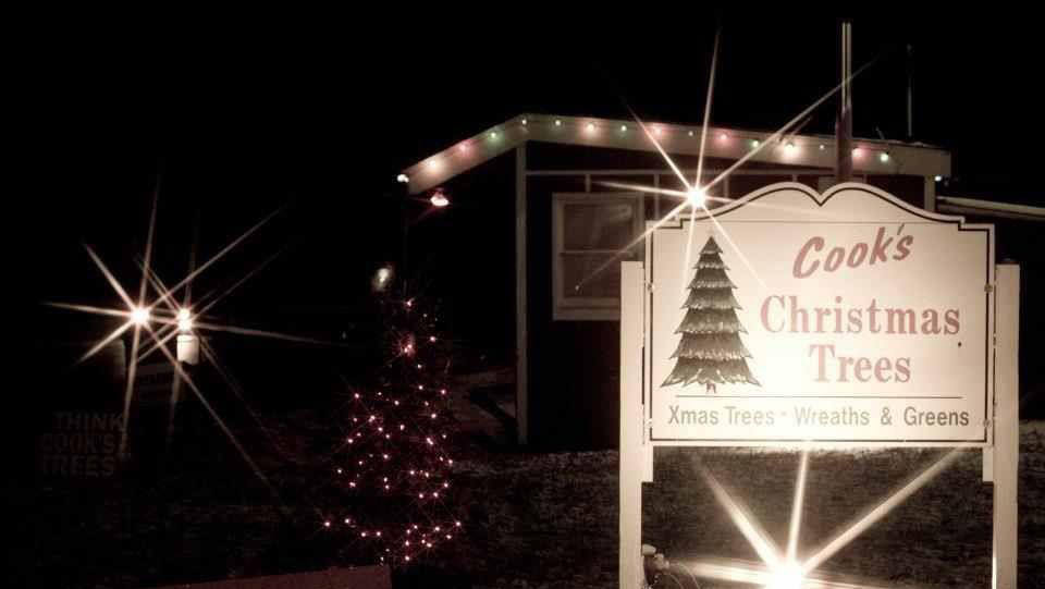 Cooks Christmas Trees | 1310 Belvidere Rd, Phillipsburg, NJ 08865 | Phone: (484) 221-2109